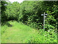 Junction of bridleway and footpath