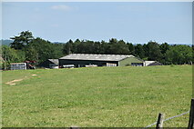 TQ2930 : Westup Farm by N Chadwick