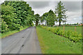 H4873 : Slieveard Park Road, Ballynamullan / Killyclogher by Kenneth  Allen