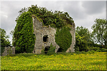N0069 : Castles of Connacht: Ballyleague, Roscommon (1) by Mike Searle
