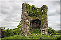 N1763 : Castles of Leinster: Mornin, Longford (1) by Mike Searle
