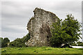 N4280 : Castles of Leinster: Togher, Westmeath by Mike Searle