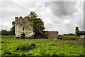 N5837 : Castles of Leinster: Clonmore, Offaly (1) by Mike Searle