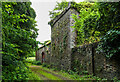 N9590 : Castles of Leinster: Ardee, tower house, Louth by Mike Searle