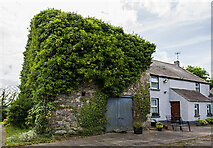 O0979 : Castles of Leinster: Carntown, Louth (2) by Mike Searle