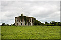 N6154 : Ireland in Ruins: Grangemore House, Co. Westmeath (1) by Mike Searle