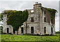 N6154 : Ireland in Ruins: Grangemore House, Co. Westmeath (9) by Mike Searle