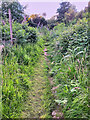 Ordwood Circular Path, Strathpeffer