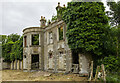 N9796 : Ireland in Ruins: Glyde Court, Co. Louth (9) by Mike Searle