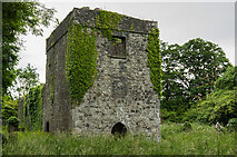 N5676 : Loughcrew Gardens, Co. Meath - late-medieval church (1) by Mike Searle