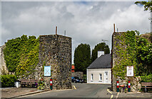 M9897 : Jamestown, Co. Leitrim - North Gate by Mike Searle