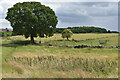 Path towards Brookland Farm