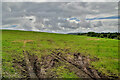 A muddy field, Tirwinny