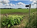 TF0861 : Field and footpath sign by David Lally