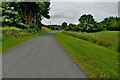 Wide grass verge along Tiwinny Road