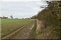 TL5444 : Icknield Way Trail by N Chadwick