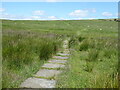 The Pennine Way near Greenriggs