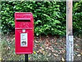 Post Box at Little Cressingham