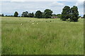 Footpath to Park Lane