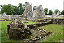 TL8683 : Thetford Priory by Philip Halling