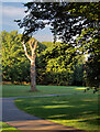 Baysgarth Park trees, Barton-Upon-Humber