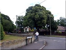 SU8656 : Farnborough Railway Station to Samuel Cody School (49a) by Basher Eyre