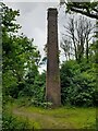 SN6216 : Pistyll Lime Works - Chimney by Adrian Dust