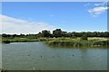 Lake in Saltcoats Park