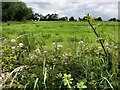 Ballynamullan Townland, Omagh