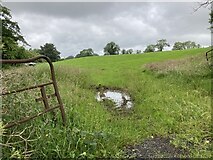 H4772 : An open field, Mullaghmore by Kenneth  Allen