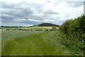 Farmland north of Chatton