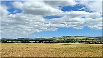TQ1913 : View east towards the South Downs by Ian Cunliffe