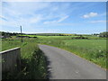 Crossing Borrowmoss Bridge