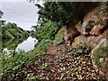 Rock outcrop along the River Severn