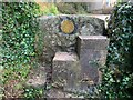 Stone Stile, Cleeve Hill