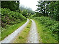 SH6952 : Forest track above Blaenau Dolwyddelan by Richard Law