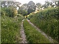 Mill Lane (Bridleway)