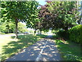 Cycle path beside the London Road (A2)