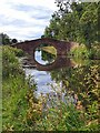 SE3368 : Bridge, Ripon Canal by Andrew Curtis