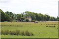 ST3684 : Pasture by Wainbridge by M J Roscoe