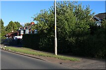 SO4741 : King's Acre Road, Hereford by David Howard