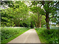 Cycleway by railway, Cheshunt