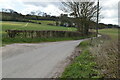 Lane in the Elham Valley