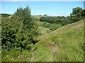 Denholme Footpath 59