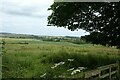 Farmland near Bilton Farm