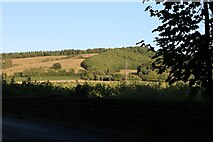 SO5839 : Hills in Dormington by David Howard