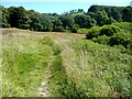 Denholme Footpath 49