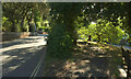 Path and A379, Shaldon