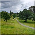 Path through Singleton Park