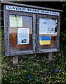 SO3416 : Llanddewi Skirrid Village Hall noticeboard, Monmouthshire by Jaggery